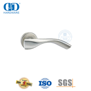 Golftipe stroomlynontwerp vlekvrye staal 304 soliede deurhandvatsel-DDSH049-SSS