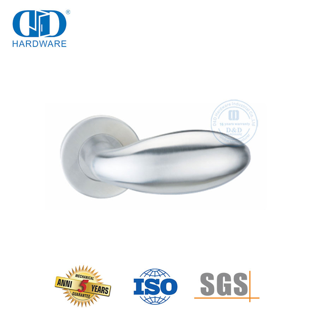 Presisiegiet van vlekvrye staal Kort tipe soliede hefboomhandvatsel-DDSH030-SSS