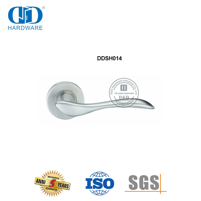 Soliede vlekvrye staal hefboom tipe presisie gegote deurhandvatsel-DDSH014-SSS
