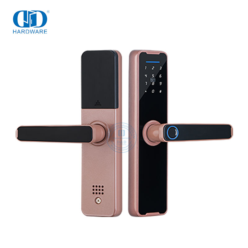 Digitale Deur Anti-diefstal Deur Met Smart Vingerafdruk Sleutellose Inteligente Electric Lock-DDDL005