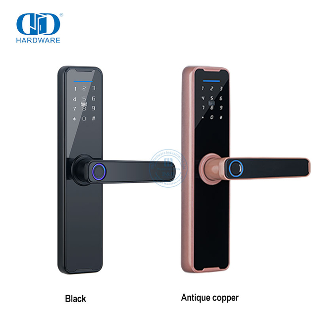 Digitale Deur Anti-diefstal Deur Met Smart Vingerafdruk Sleutellose Inteligente Electric Lock-DDDL005